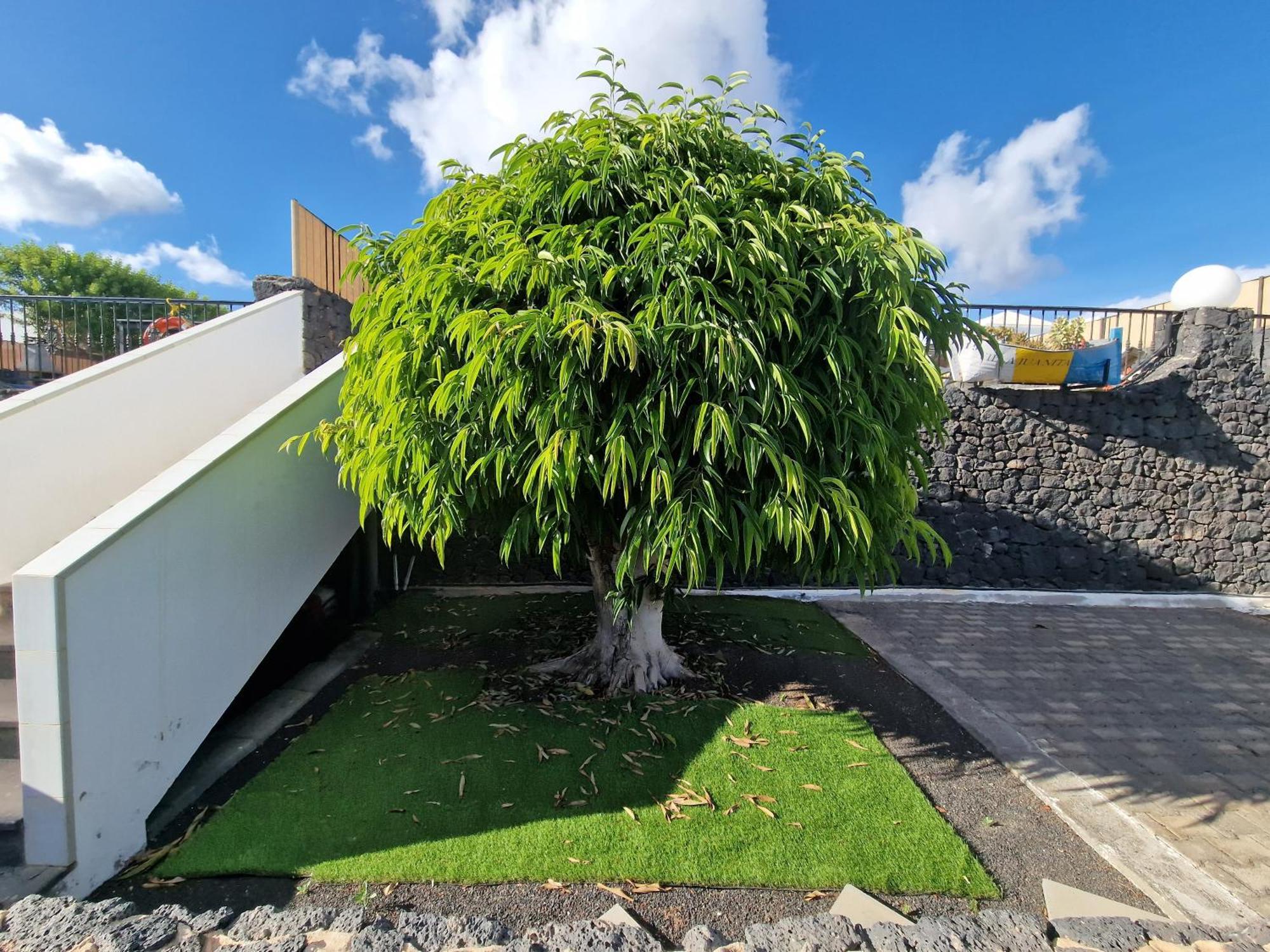Villa Juanita, Puerto Del Carmen, Lanzarote تياس المظهر الخارجي الصورة